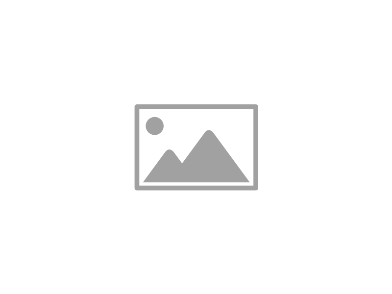 wp login logout registration